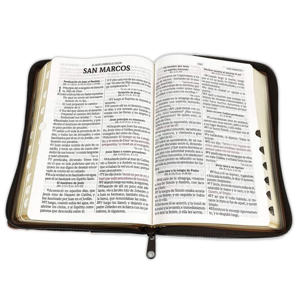 Biblia Reina Valera 1960 Letra Grande