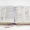 Biblia Inspira NTV- Morada adentro