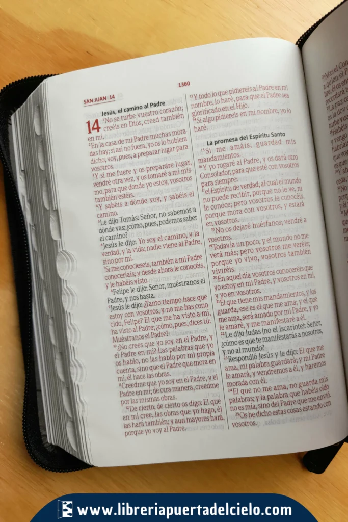 Biblia Negro Canto Plateado Cierre Abierto